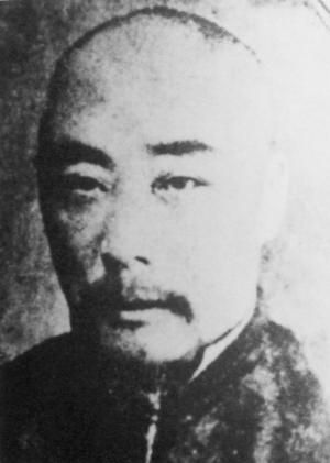 陈芾肖像