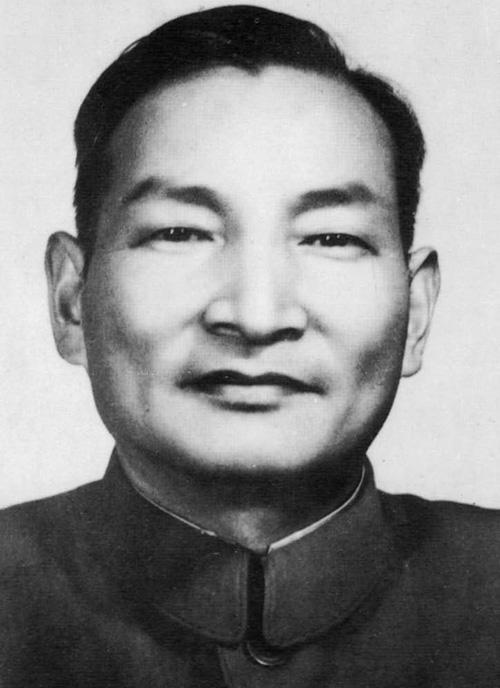 陈云画像