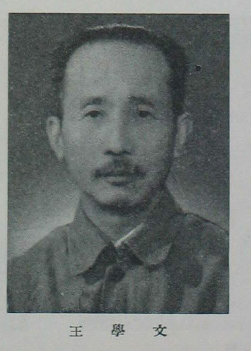 王学文画像