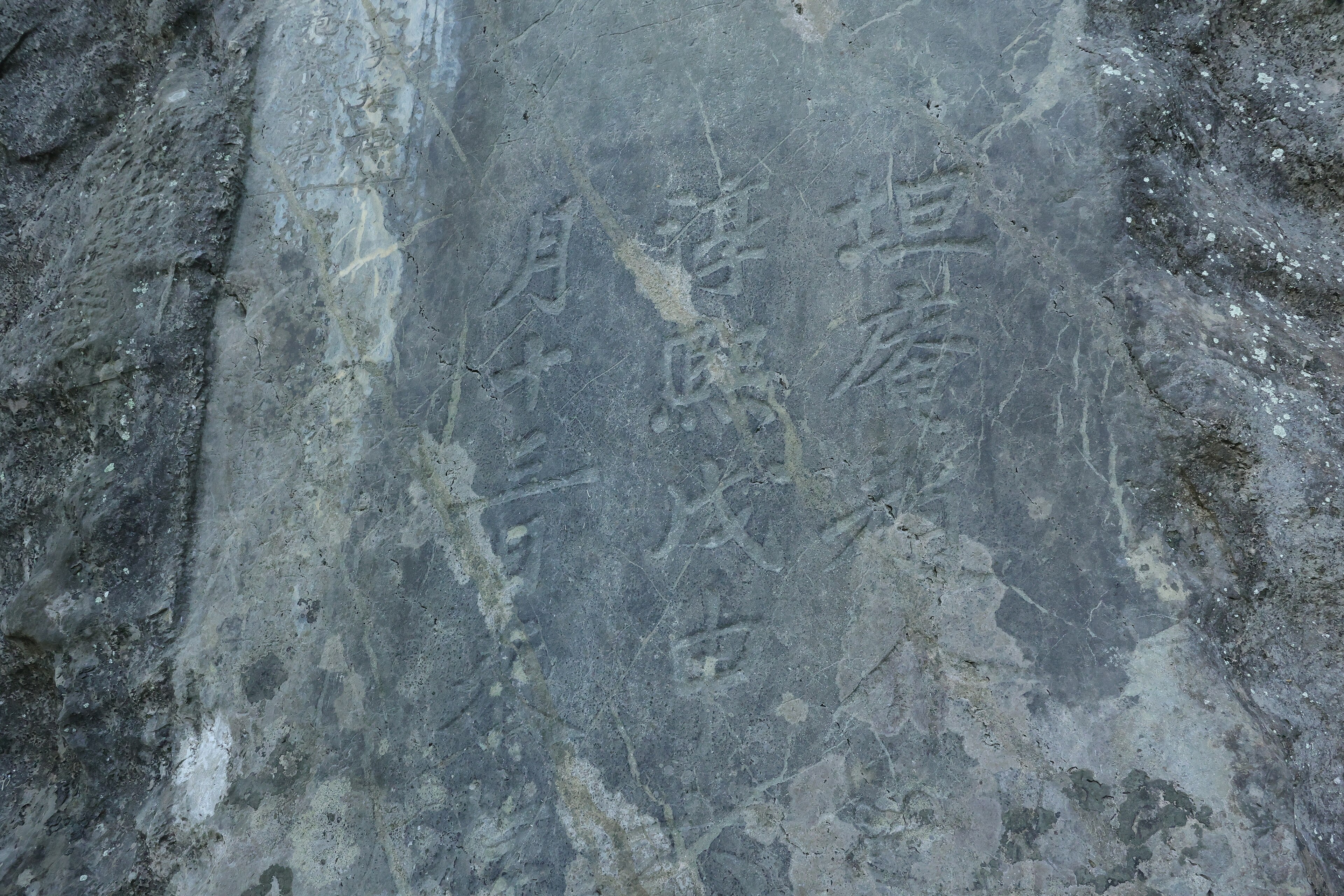 赵师侠画像